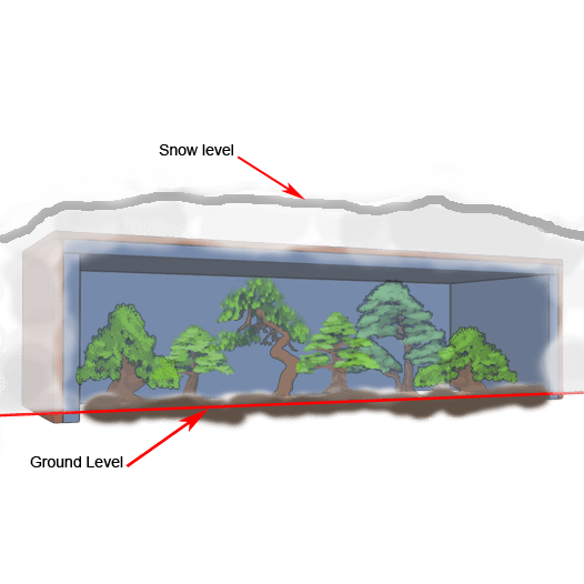 Image représentant comment protégé des bonsaïs sous une structure de bois pour l'hiver