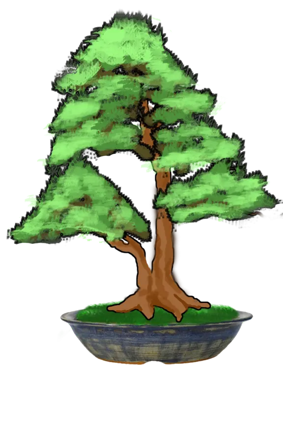Pot bonsaï 2402326 -Un pot pour votre bonsaï parfait pour vos bosquets